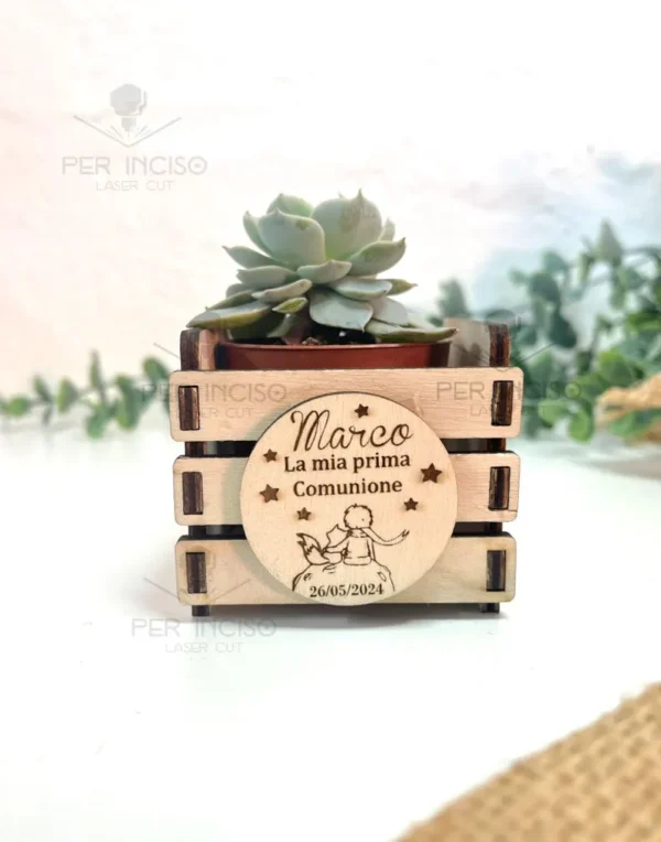 Cesta De Madera Para Plantas Suculentas Creativo Digital