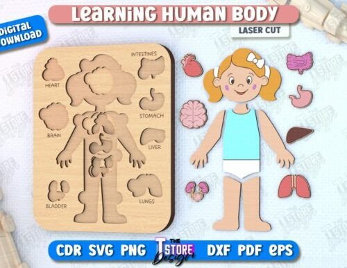Juego De Anatomia Para Ninos 2 Creativo Digital