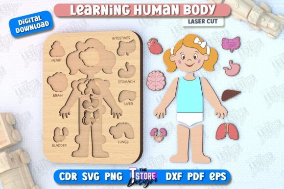 Juego De Anatomia Para Ninos 2 Creativo Digital