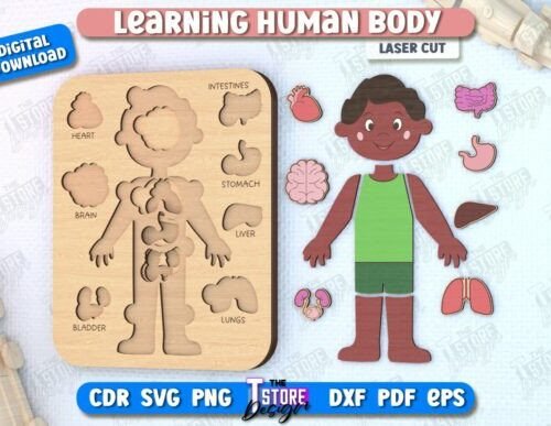Juego De Anatomia Para Ninos Creativo Digital