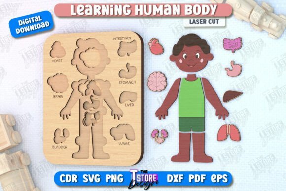 Juego De Anatomia Para Ninos Creativo Digital