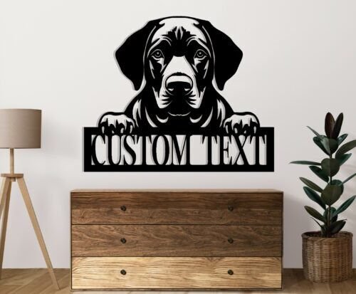 Labrador Asomado Creativo Digital