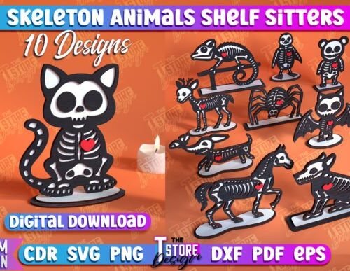 Paquete De Estanterias Con Esqueletos De Animales Creativo Digital